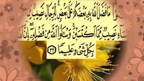 سورة النساء اية ٣٢ جمال القرش