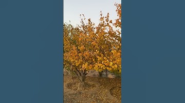 Surah Taha سورة طه 46, 45