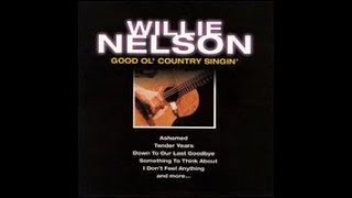 Blackjack County Chain~Willie Nelson