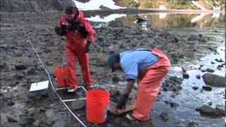 Intertidal Monitoring in SW Alaska Parks screenshot 2