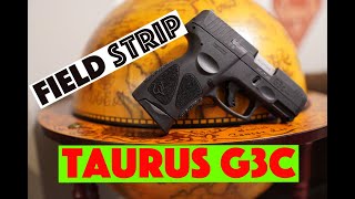 Taurus G3c Field Strip screenshot 5