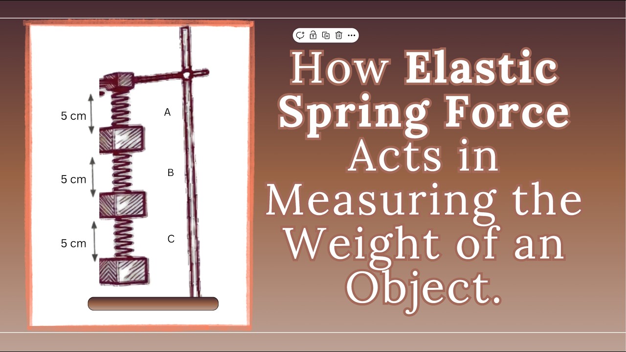 How Elastic Spring Force Acts in Measuring the Weight of an Object