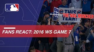 Cubs fans react to World Series win