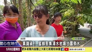 真識貨 蜜蜂聚集清水岩喝甘露泉水 Youtube 真識貨 蜜蜂聚集清水岩喝甘露泉水 Youtube