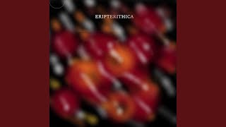 ERIPTERITHICA