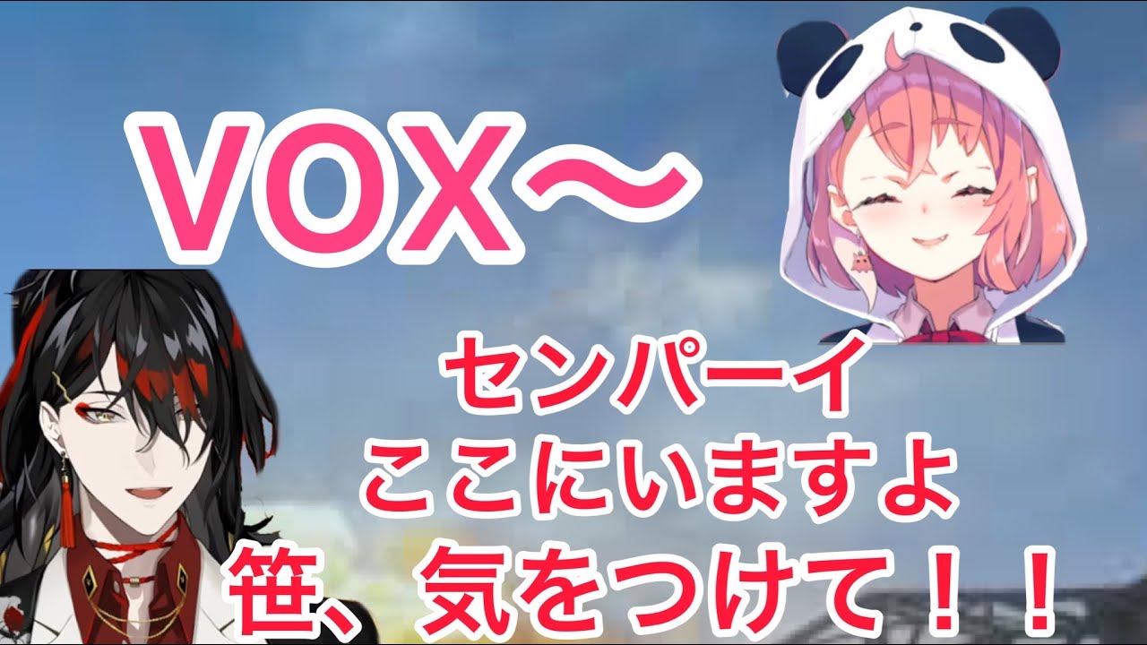 【笹・先輩呼びtskr】側近になったり保護者になったりするVOX【にじさんじ/切り抜き】Elira/#kzhcup