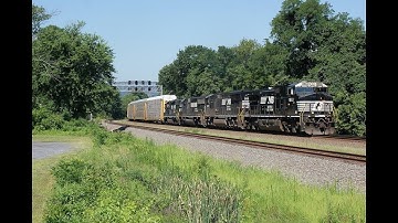 NS 36A on the NS PITL at MPPT 116 in the Cove (2011)