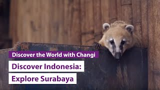 Discover Indonesia: Explore Surabaya with The Smart Local screenshot 5