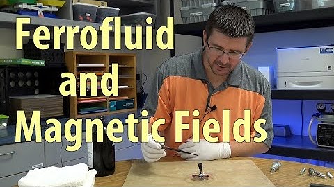 Activity 4.2.3.B - Magnetic Fields with Ferrofluid