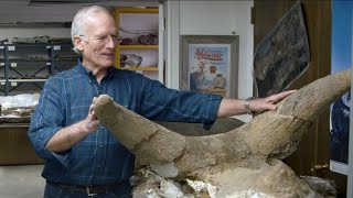 10,000+ Dinosaurs Buried in Wyoming During Noah's Flood  Dr. Arthur Chadwick