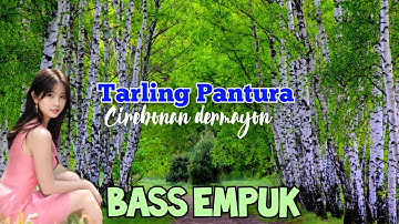 MABOK LC ( Wulan jelita ) cover  - lagu tarling Pantura terbaru 2024 / 2025