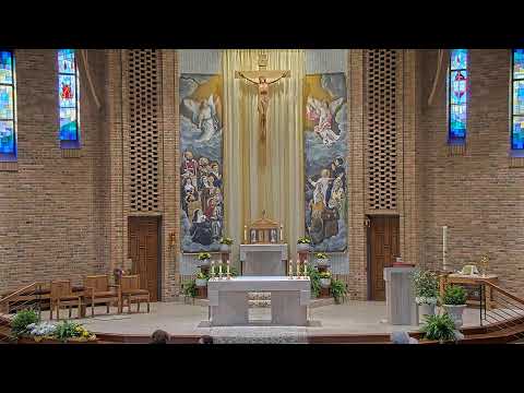 Daily Mass Tuesday - 8:15 AM - 04/23/2024