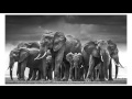 David Yarrow Reveals his Photography Secrets - YouPic Inspiration for photographers