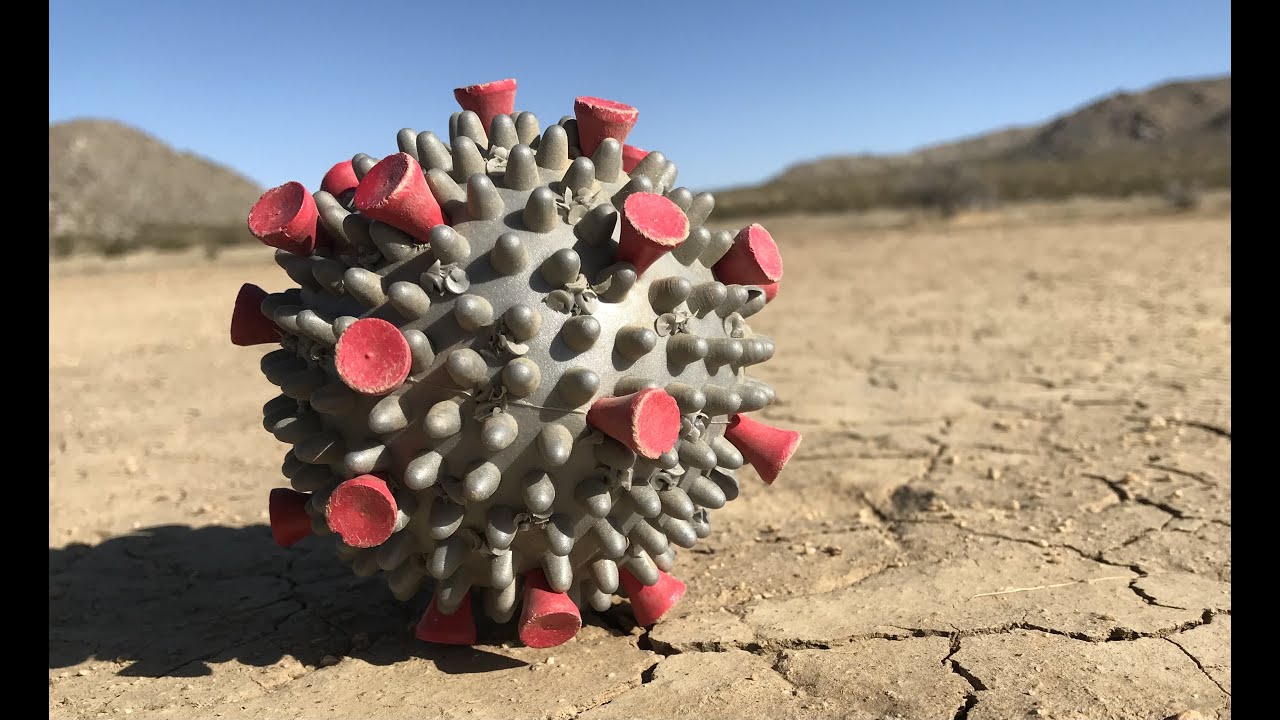 Bug Guts- Get Along Little Virus