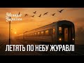 Cranes Are Flying In The Sky Official Video Ukrainian Song About Love And Separation