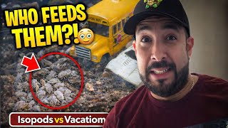 Isopods Left Alone? Here Is My Survival Plan 🚨