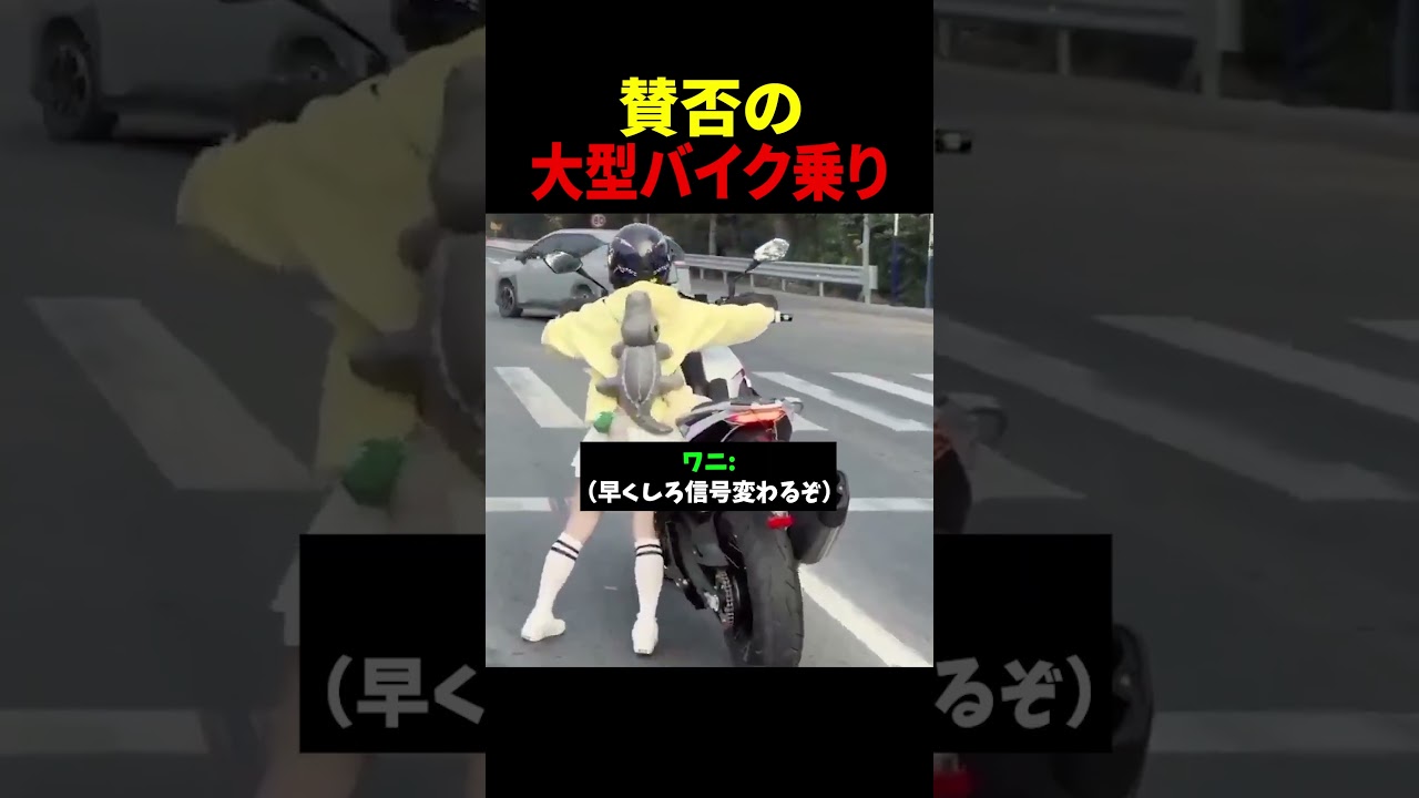 賛否の大型バイク乗り