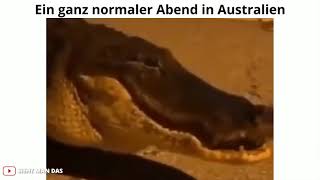 Normaler Abend in Australien... (deutsche memes)