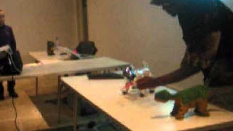 Aibo and Plio - Robots