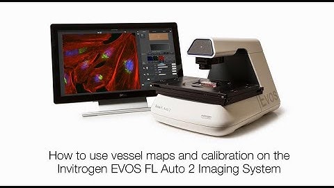 How to setup vessel maps on the EVOS FL Auto 2 Microscope