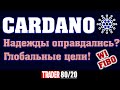 CARDANO. Глобальные цели! (ADA)