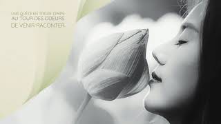 Download Lagu TADORO coffrets odeurs parfumerie t'odore MP3