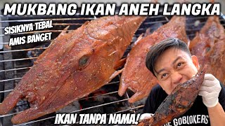 MASAK IKAN TERANEH DI LAUTAN! SUSAH MASAKNYA, DAGINGNYA KAYAK BABI.
