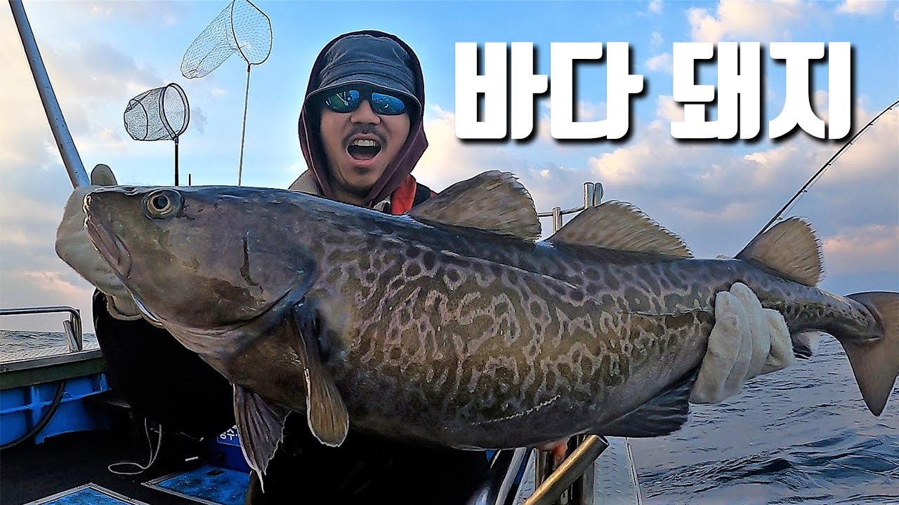 지금 동해바다 수심 100M에서 나오는 괴물 같은 대어!!! 누구나 가능!!