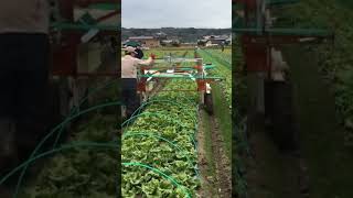 We can easily do the heavy work in tunnel cultivation #agricultureequipment #organicfarming