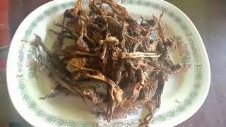 Expensive Fried Small Green Frog 600 THB per kg. Thailand's North-east region/Zab Street