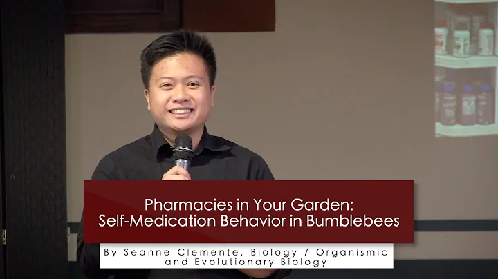 Three Minute Thesis Finalist - Seanne Clemente