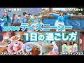 新エリア無課金で全制覇!25周年が始まったディズニーシーのポイントを大紹介!【周り方/攻略法】
