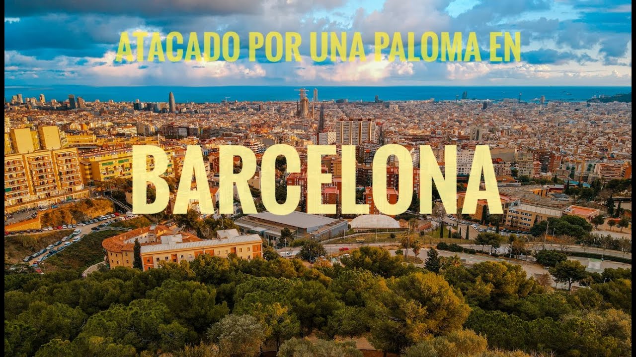 Que hacer hoy en barcelona