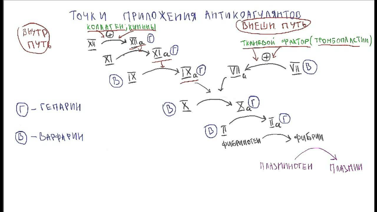 фармакология - Антикоагулянты (краткий обзор)
