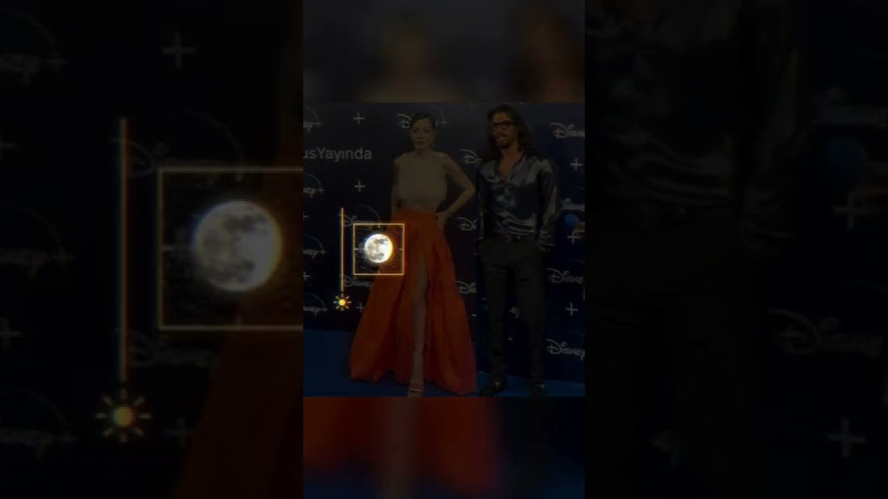 Can Yaman and Demet Ozdemir 