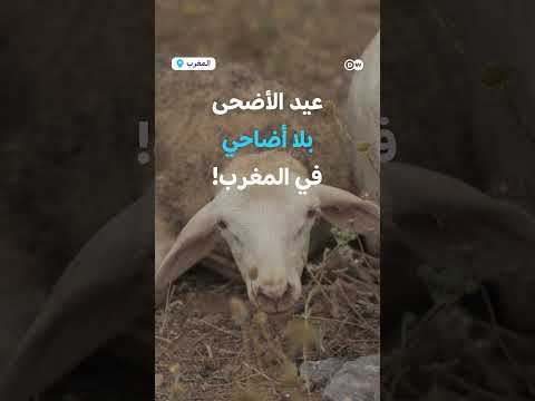 أجواء عيد أضحى مختلفة بالمغرب بعد توجيه ملكي بعدم نحر الأضاحي