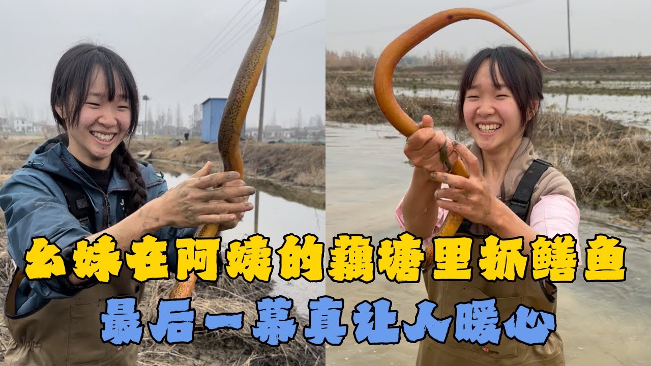 幺妹在阿姨的藕塘里抓鳝鱼，最后一幕真让人暖心！#户外抓鱼 #户外捕鱼 #幺妹vlog #乡村生活 #农村生活