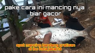 spot mancing ikan bandeng gratisan di ibu kota jakarta #mancing #mancingikanbandeng