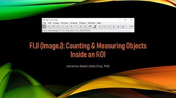 FIJI (ImageJ): Counting & Measuring Objects Inside an ROI