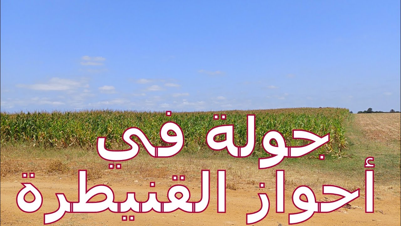 Ain Sbaa  M'gadid ouled mlik #القنيطرة  عين السبع عين عريس، مگاديد أولاد مليك