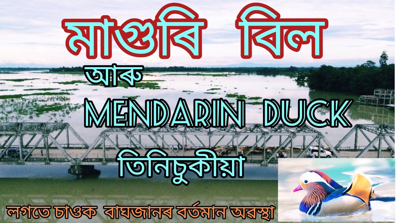 MAGURI BEEL //// মাগুৰি বিল // tinsukia///tourist place of ASSAM  