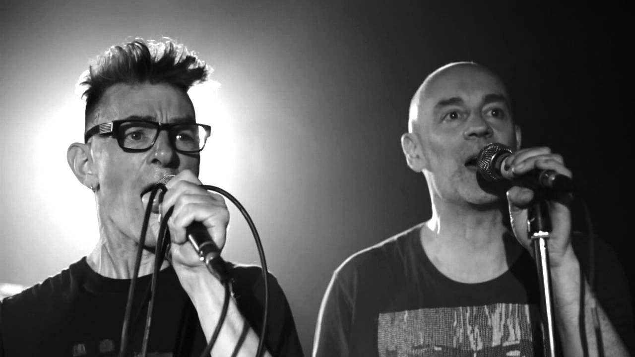 Angelfish decay - Unpredictable