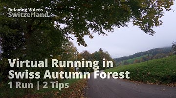 Swiss Autumn Forest Trail Run 4K VR180 | Peaceful Alpine Nature Sounds