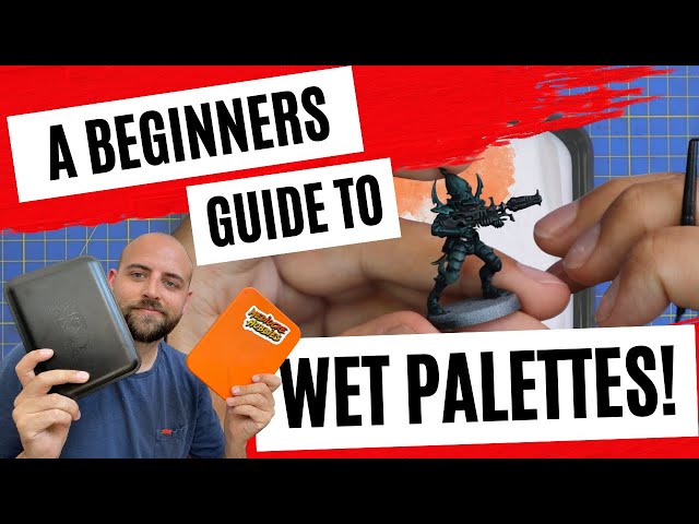 HOW TO MAKE AND USE A WET PALETTE: A Step-By-Step Guide 