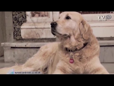 Scicli: i luoghi di Montalbano - L'incredibile storia del cane Italo