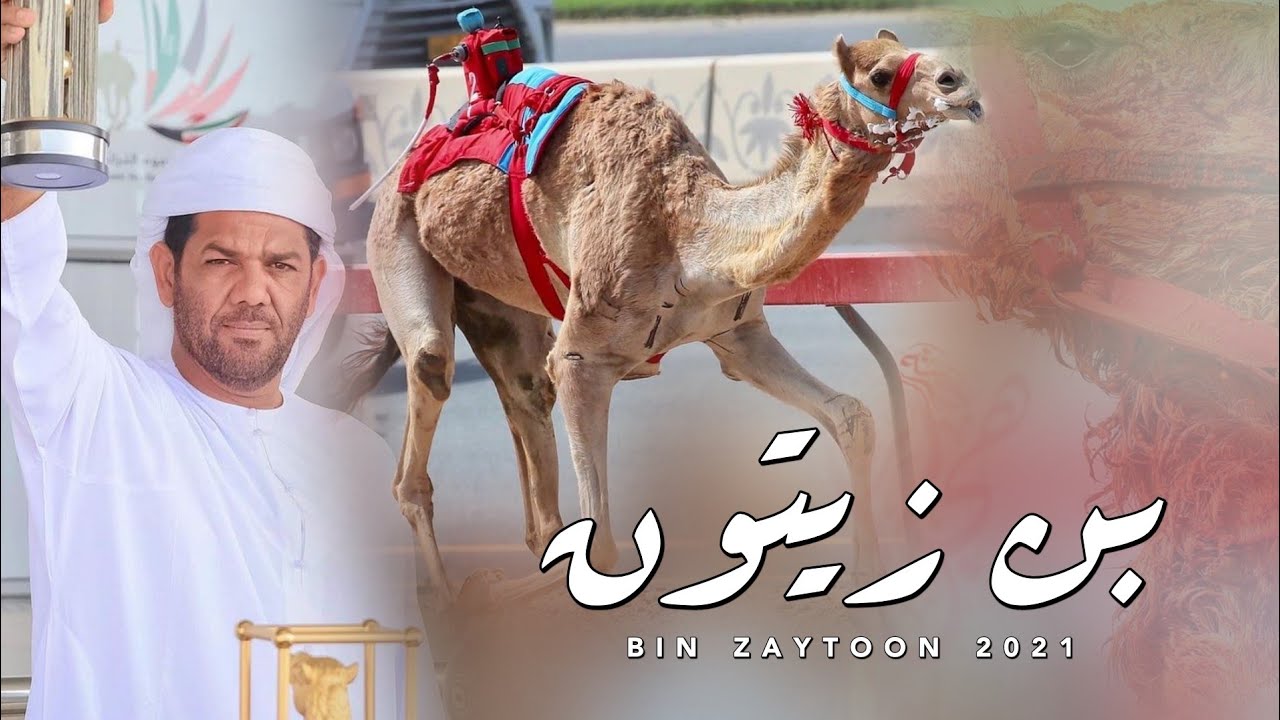 أسعد البطحري - إهداء إلى محمد بن عتيق بن زيتون المهيري (حصرياً) | 2021