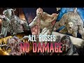 ADA WONG SEPARATE WAYS ALL BOSSES (Professional Mode)【NO DAMAGE】Resident Evil 4 Remake 4K60ᶠᵖˢ