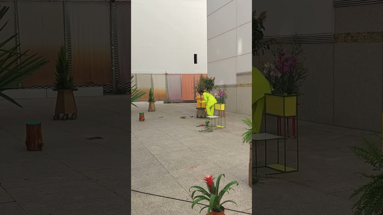 OXYGEN FOR THE FUTURE - MOBILE OLIVE TREE 