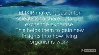 ELIXIR and EOSC-hub