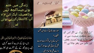 Meaningful Quotes For Better Life زندگی سے متعلق حسین باتیں Collection Of Urdu Best Status